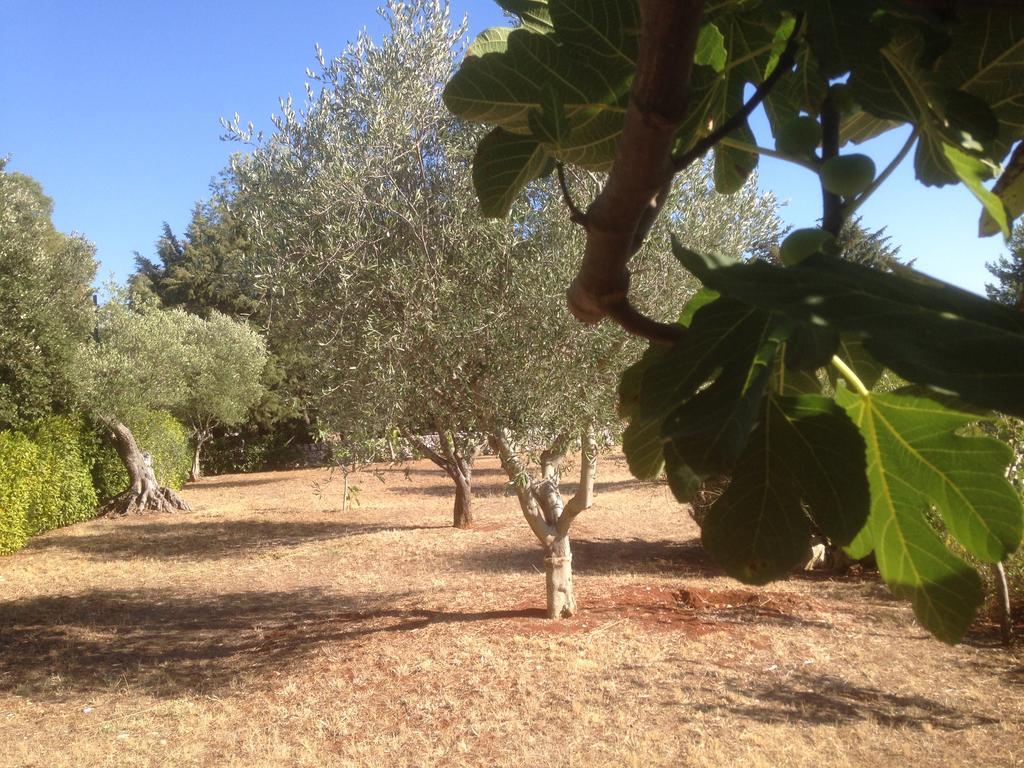 Willa Trullo Picchiagiuda Ostuni Zewnętrze zdjęcie