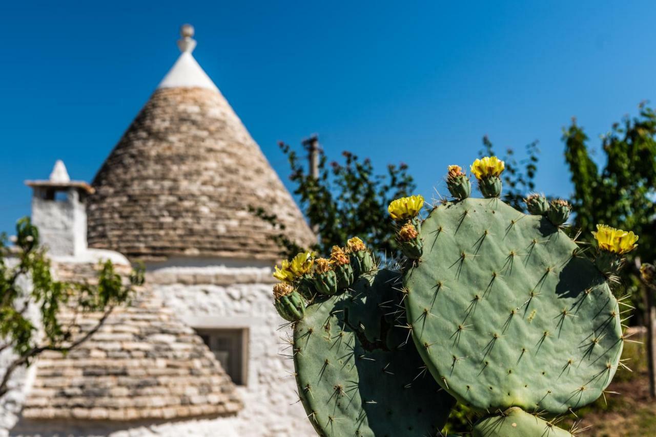 Willa Trullo Picchiagiuda Ostuni Zewnętrze zdjęcie